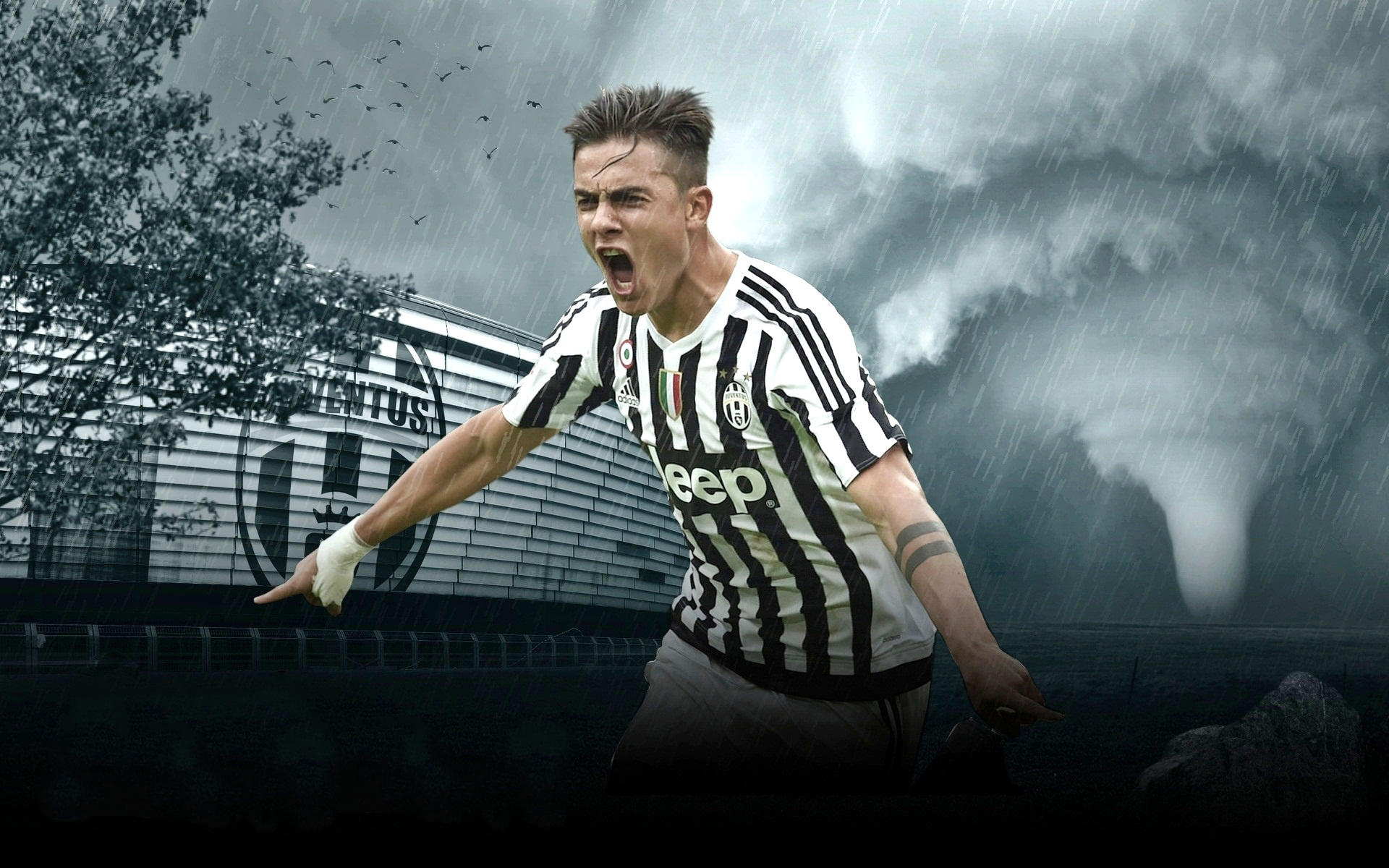 海港客战柔佛：维塔尔、亚历斯祖首发，陈威、张琳芃出战（海港客场挑战柔佛：维塔尔、亚历斯祖先发，陈威、张琳芃登场）